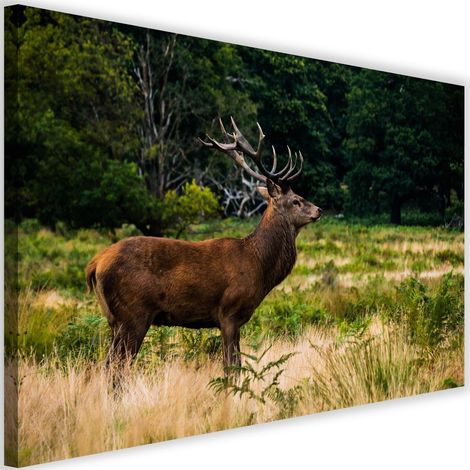 Tableau sur toile Cerf dans la forêt Nature 60x40 (1/5)