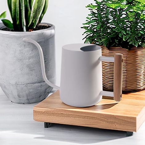 Arrosoir 1L pour Plantes d’Intérieur en Acier Inoxydable Petit Arrosoir Décoratif avec Long Bec Courbé et Poignée en Bois Design Moderne pour Fleurs Bonsaï, Jardin et Balcon (Blanc) (1/5)