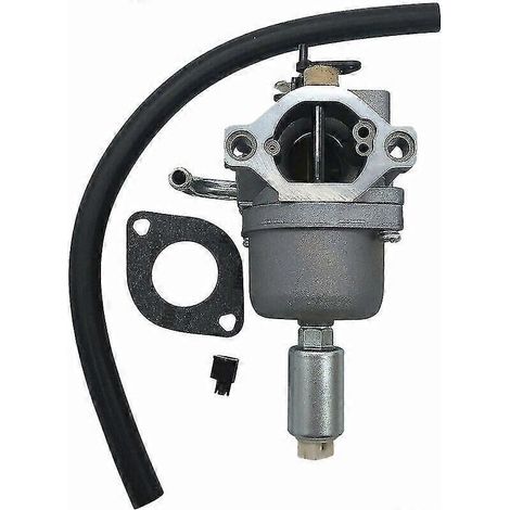 Vergaser für Briggs & Stratton Intek Motoren (14,5 bis 21 PS), Teilenummer 796109 591731