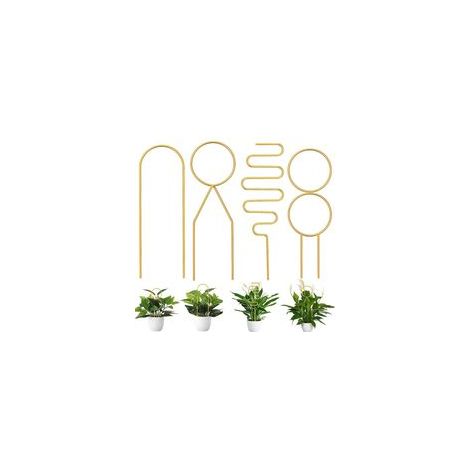 Ensemble de 4 tuteurs pour plantes grimpantes d'intérieur, supports métalliques adaptés aux plantes en pot, aux vignes et aux fleurs.