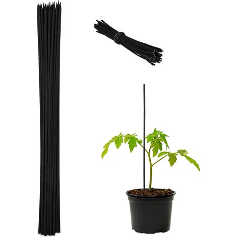 Palitos de flores de 60 cm en juegos de 50 (1/5)