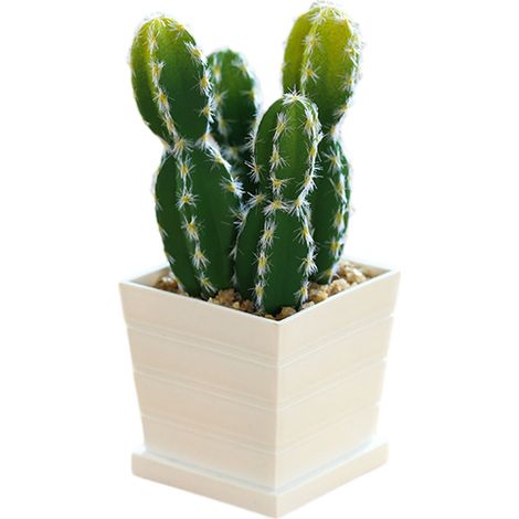 Cactus Artificiel - Pot Plastique - Décoration Intérieure Bureau Maison Café - Résistant UV Pluie Vent - 1 Pièce (1/5)