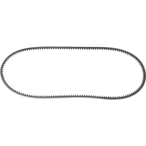 Einseitiger Zahnriemen 5/16" x 31 1/2", 8 x 800 (1/3)