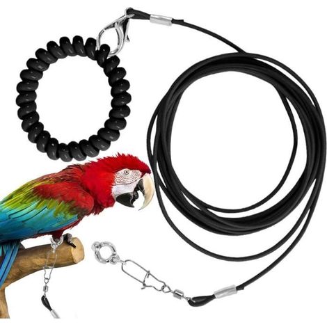 Corde volante pour oiseaux - Chaîne de pied d'oiseau - Jouet d'entraînement - Extérieur (1/4)