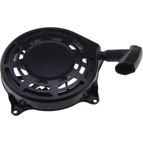Lanceur 497598 493295 497680 compatible avec Briggs & Stratton 099772 099777 110600 111600 120600 120H00 120K00 121600 (1/5)