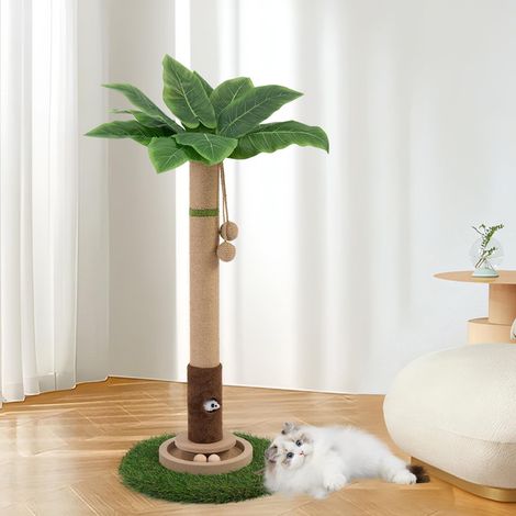 Arbre à chat cactus avec griffoir et jouets interactifs pour chaton et chat adulte