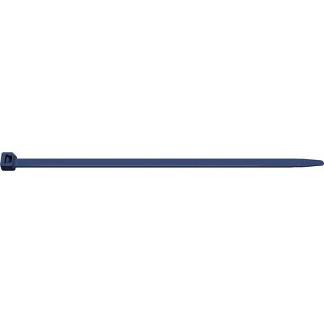 Brida para cables 98x2.5 detectable con limaduras BMBDT1025 /100 unidades/ (1/2)