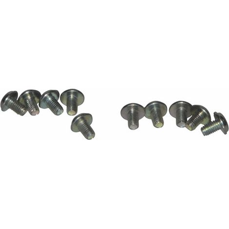 Vis (x10) (X 10) - VAILLANT : 105900