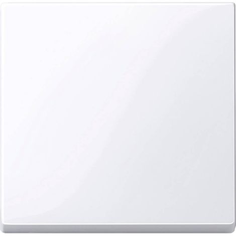 Cache Interrupteur va-et-Vient System M Blanc 432125
