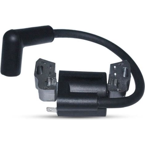 Bobine d\'allumage pour Briggs & Stratton 798534 799582 593872 593381 84005272 (1/4)