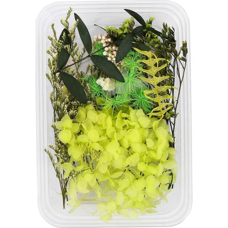 1 kit de bricolage pour la création de fleurs séchées parfumées-9x3x0.5cm-Green