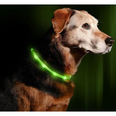 Collar LED para perros Recargable por USB, 6 colores, súper visible para paseos nocturnos seguros - L (1/4)