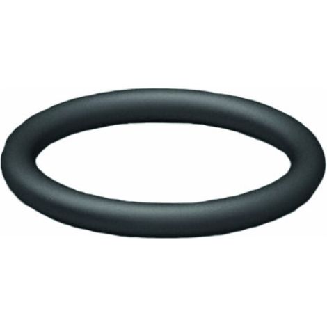 Pièce détachée Gesipa Joint torique 27 x 1,5 (1/2)