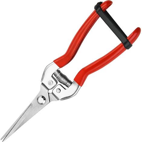 Sécateur en acier inoxydable, sécateur de jardin, sécateur pour la cueillette de raisins, outils de taille des branches-AquaForge
