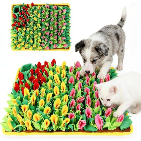 Tapis de fouille pour chiens, 60 x 40 cm, stimulant mentalement, contrôle vitesse d'alimentation, développe sens olfactif (polaire)