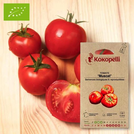 Tomate Muscat