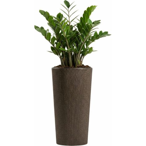 Vaso da caffè espresso Urbanika, altezza 36,4 x 19,6 cm
