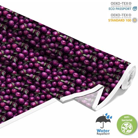 Outdoor dekostoffe oxford - Motiv Obst DX6416 (1/5)