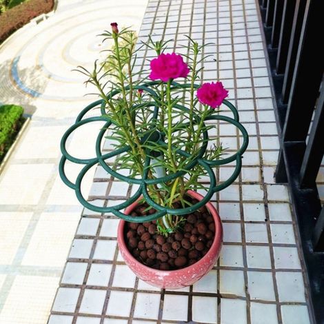 Support pour fraisiers, pinces de jardin, tuteur pour plantes grimpantes et fruits, support surélevé (1/5)