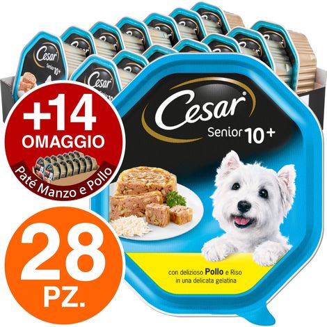 28 Vaschette Cesar Senior 10+ per Cani con Pollo e Riso in Gelatina + 14 Manzo e Pollo in OMAGGIO