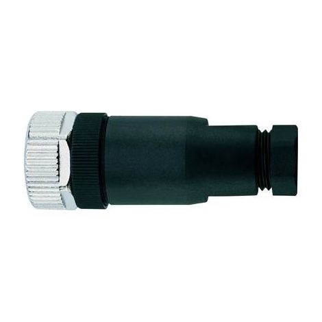 Sensorstecker escha 8004815 5 Pins 1 Stück