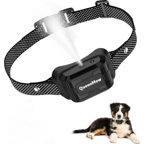 Collier Anti Aboiement Chien (1/5)