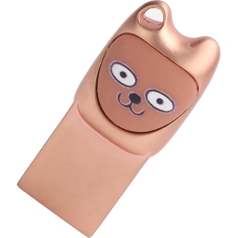 Clé USB 2.0 en métal, motif dessin animé, 2 en 1, avec adaptateur pour téléphone portable Android, or rose, 128 Go (1/5)