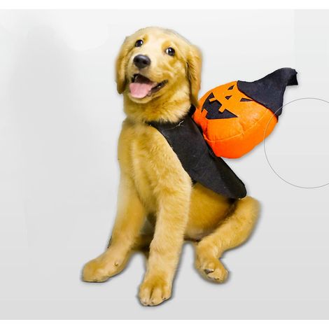 Gilet Citrouille - Pour Chien Et Chat - Orange Citrouille Et Blanc - Réglable À La Nuque Et Au Torse - Tailles S M L XL (1/5)