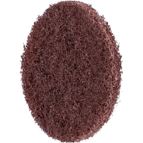 PFERD Schleifvliesscheibe POLINOX® D. 60 mm fine 180 braun (1/5)