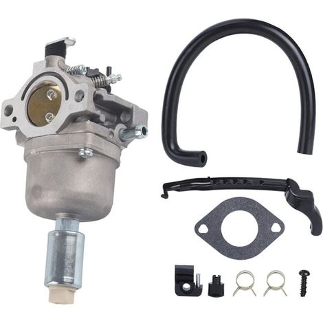 ,Remplacement de carburateur de carburateur de tondeuse à gazon de jardin pour Nikki 697203 pour Briggs Straton 799727 (1/5)