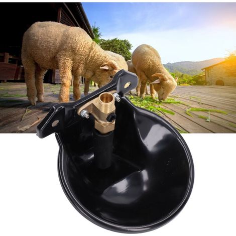 Bol d'eau pour moutons, en acier inoxydable, Valve en cuivre, interrupteur tactile, abreuvoir automatique épais pour chèvres, pour ferme (1/4)