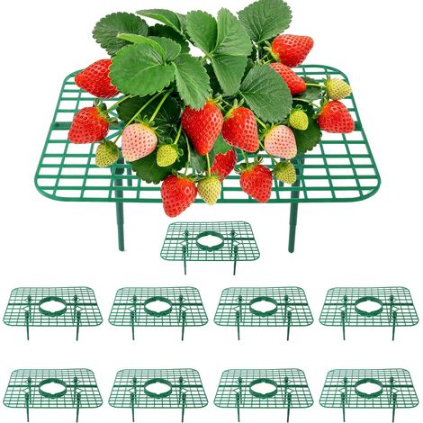 Supports de fraisiers, Lot de 10, Support carré, Garde Les Fraises Hors du Sol, réutilisable pour Jardin & bac Potager (1/5)