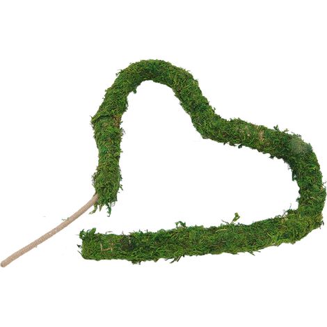 Tuteur en Mousse Naturel Flexible pour Plantes Grimpantes en Pot - Outil de Jardinage (1/5)
