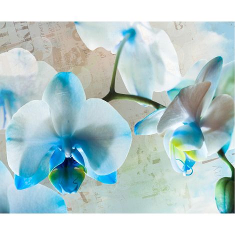 Blues flowers, photo murale intissée, 360x270 cm, 4 parts (1/3)