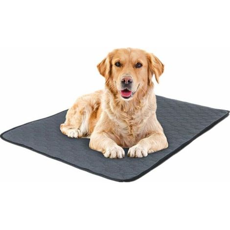 Coussinets lavables pour pipi pour chien, coussinets d'entraînement réutilisables extra larges pour chiots, coussinets d'incontinence super absorbants pour animaux de compagnie pour tapis de parc et b (1/5)