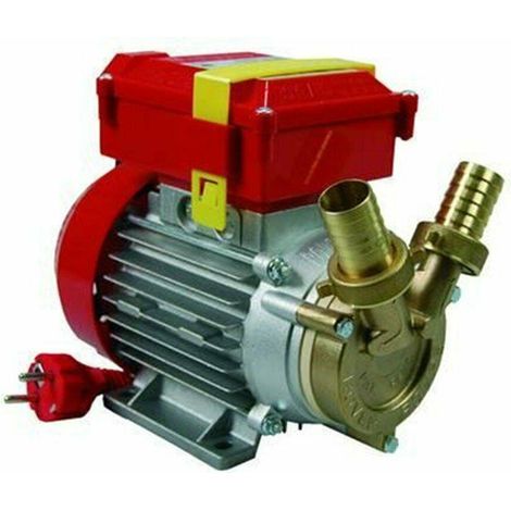 ELETTOPOMPA IN BRONZO BISENSO DA TRAVASO ROVER 25 CE 42 LT./MIN - FER 14496 (1/2)