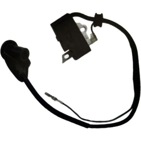 Module d'allumage FS120 250 tension stable garanti Installation simple, design plug-and-play, pour modification, , outil nécessaire (1/5)