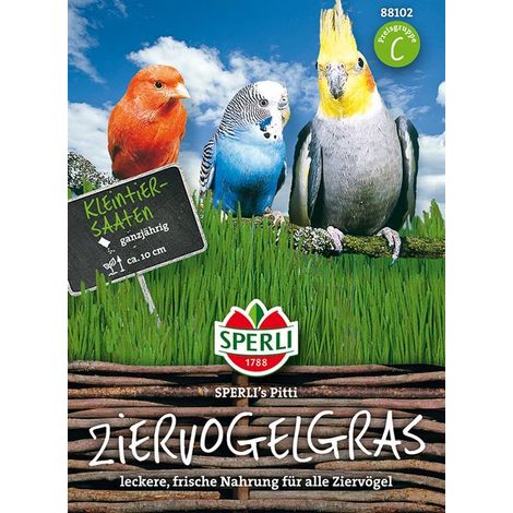 Sperli Ziervogelgras SPERLI´s Pitti - Blumensamen (1/4)