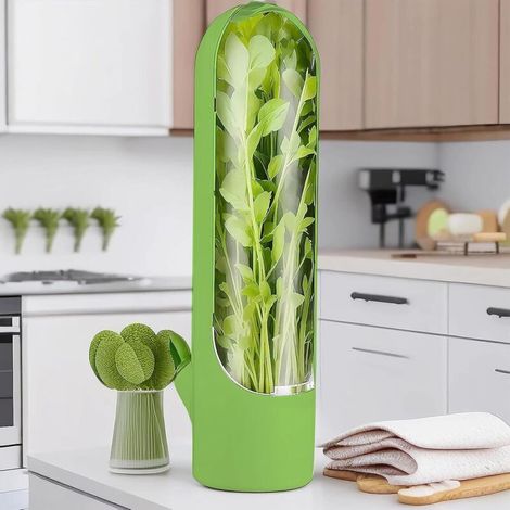 Boîte de conservation pour réfrigérateur, idéale pour conserver les herbes aromatiques, la coriandre, les asperges et autres légumes au réfrigérateur pendant 2 à 3 semaines (vert, taille unique). (1/4)