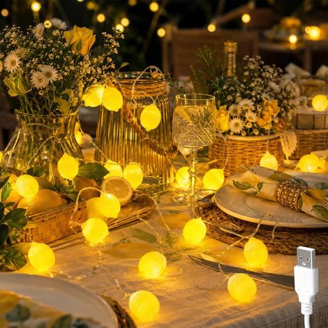 Guirlande lumineuse citron - 1,5 m - 10 LED - Citron vert - Lumière décorative pour terrasse, salon, bar, fête, mariage, jardin, décoration de Noël, intérieur et extérieur (1/5)
