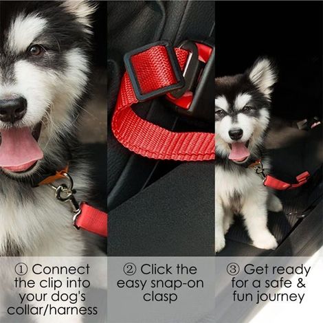 Ceinture de sécurité pour chien, corde de traction pour animal de compagnie