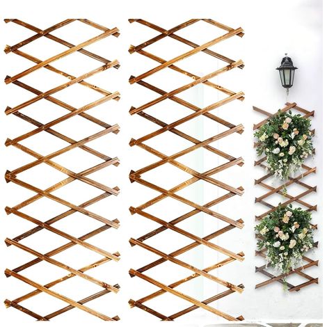 Expanding Trellis for Climbing Plants, Wooden Trellis for Climbing Plants, Wall Plants, Expandable Trellis for Bedroom, Garden, Patio, 180 x 30 cm, 2 Pack (1/5)