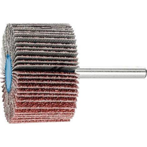 PFERD Fächerschleifer Ø50xH30mm Körnung 40 ( 8000429727 )
