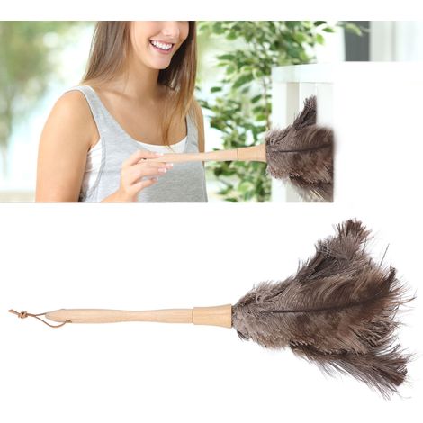 Aspirateur à plumes, écologique, réutilisable, en bois avec long manche, nettoie la maison en brun. (1/5)