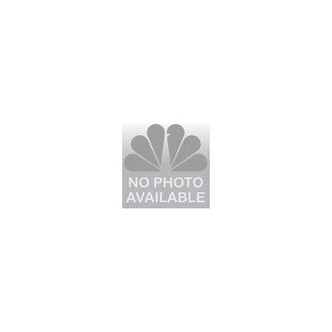 FILTER BAG FOR 54253 (17085)