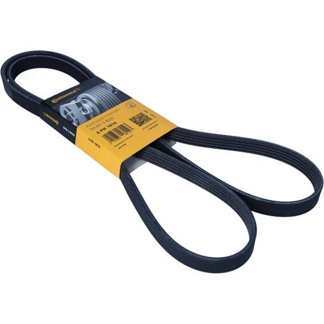 Courroie Poly-V striée automobile Contitech 5PK1815 (1/4)