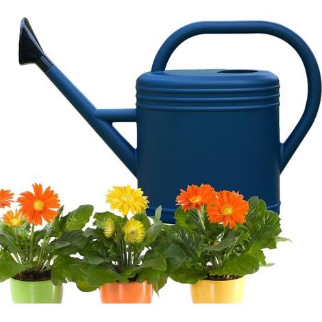 5L 10L ße Gießkanne mit Abnehmbarem Brausekopf Ergonomischer (1/5)