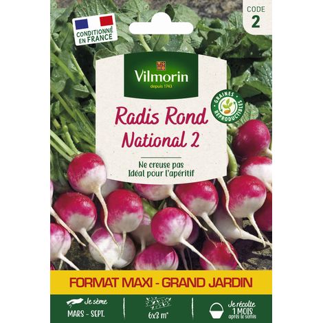 Radis National 2 - Grand Modèle Vilmorin (1/2)