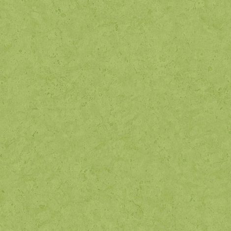 BRICOFLOR Papier peint Vert - Papier peint Uni - 10,05 x 0,53 m (1/5)