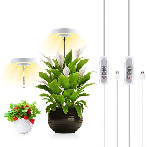 Lampe LED circulaire miniature à intensité variable (2/4/8 h) pour plantes d'intérieur, idéale pour la croissance des plantes. (1/5)